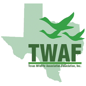 Texas Wildlife Association Foundation Logo
