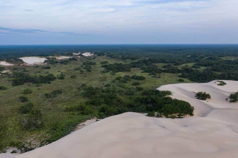 El Sauz ranch aerial view.